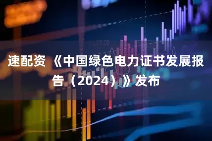 速配资 《中国绿色电力证书发展报告（2024）》发布