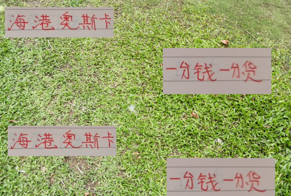 千里马配资 海港奥斯卡的性价比确实不高 真的是一分钱一分货