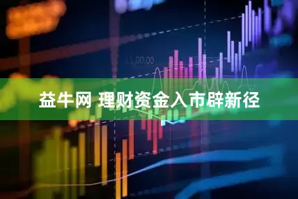 益牛网 理财资金入市辟新径