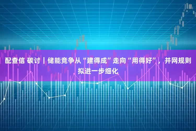 配查信 碳讨｜储能竞争从“建得成”走向“用得好”，并网规则拟进一步细化